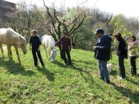 Primavera in fattoria