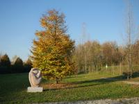 Il Parco "Marisa Troiano" - Reanuzza - Reana del Rojale